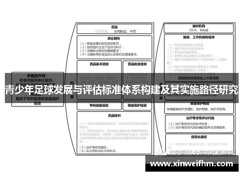 青少年足球发展与评估标准体系构建及其实施路径研究