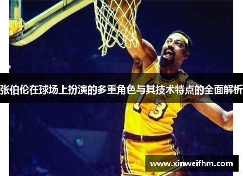 张伯伦在球场上扮演的多重角色与其技术特点的全面解析