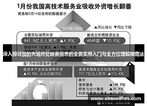 深入探寻加的夫城所处联赛信息的全面实用入门与全方位理解指南法